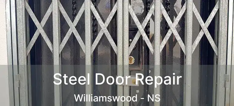  Steel Door Repair Williamswood - NS