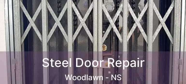  Steel Door Repair Woodlawn - NS