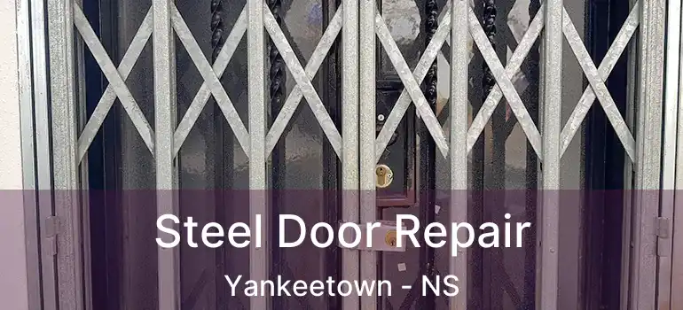  Steel Door Repair Yankeetown - NS