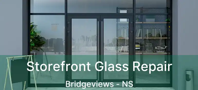  Storefront Glass Repair Bridgeviews - NS