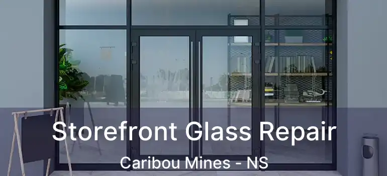  Storefront Glass Repair Caribou Mines - NS