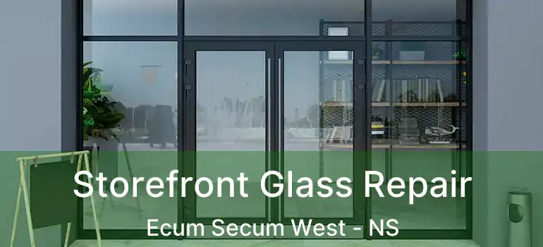  Storefront Glass Repair Ecum Secum West - NS