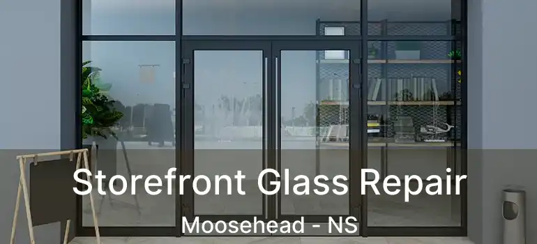  Storefront Glass Repair Moosehead - NS