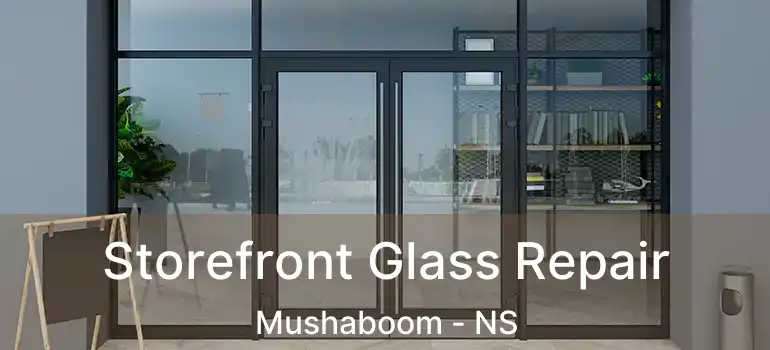  Storefront Glass Repair Mushaboom - NS