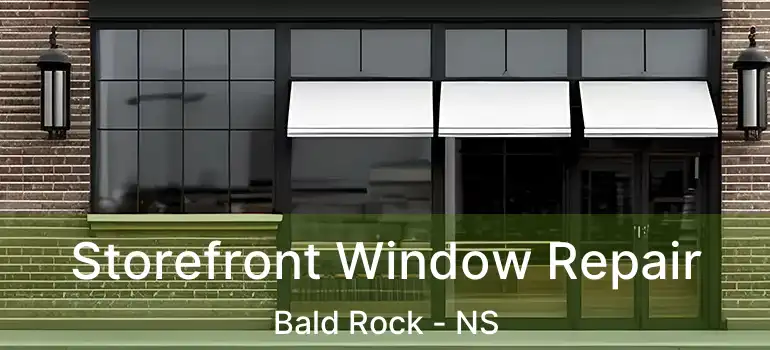  Storefront Window Repair Bald Rock - NS