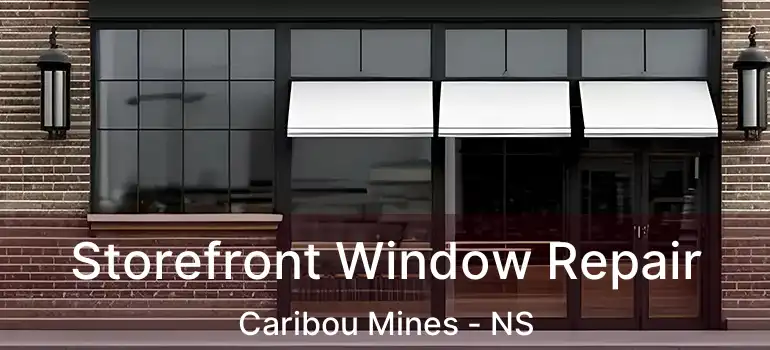  Storefront Window Repair Caribou Mines - NS