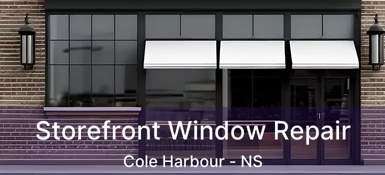  Storefront Window Repair Cole Harbour - NS