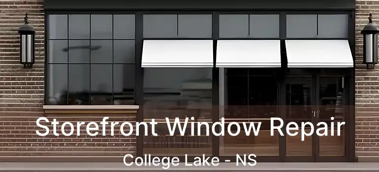  Storefront Window Repair College Lake - NS