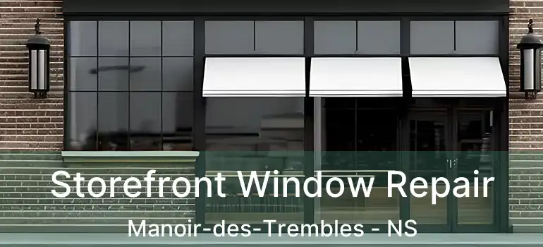  Storefront Window Repair Manoir-des-Trembles - NS