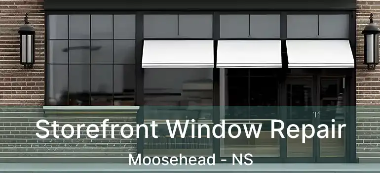  Storefront Window Repair Moosehead - NS