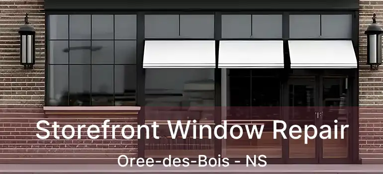  Storefront Window Repair Oree-des-Bois - NS