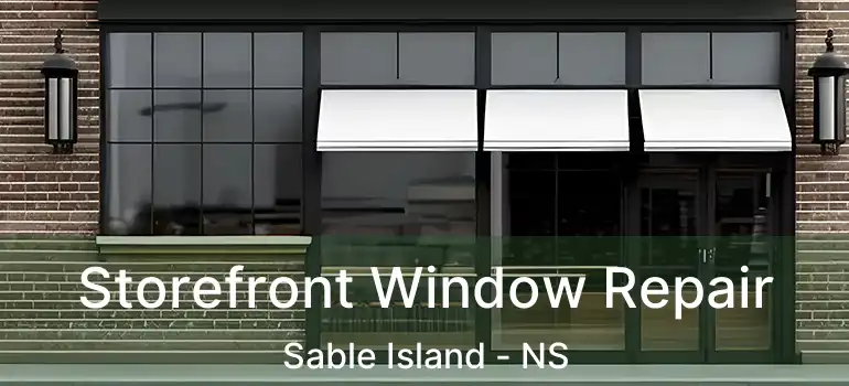  Storefront Window Repair Sable Island - NS