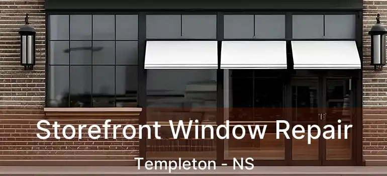  Storefront Window Repair Templeton - NS