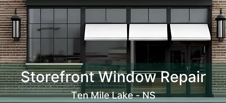  Storefront Window Repair Ten Mile Lake - NS