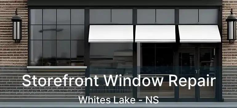  Storefront Window Repair Whites Lake - NS