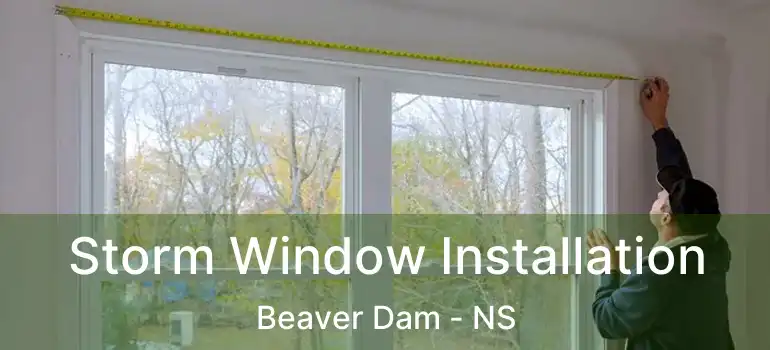  Storm Window Installation Beaver Dam - NS