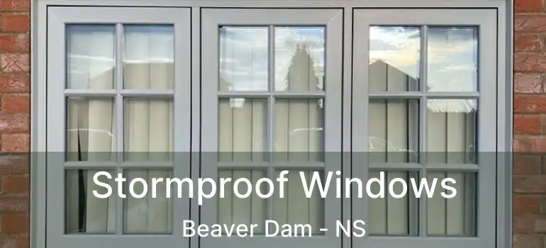  Stormproof Windows Beaver Dam - NS