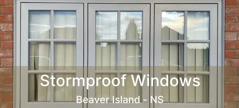  Stormproof Windows Beaver Island - NS