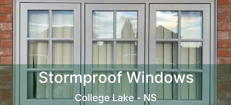  Stormproof Windows College Lake - NS