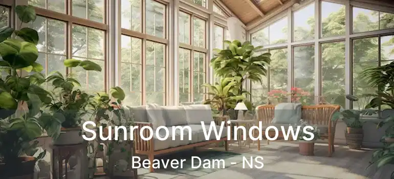  Sunroom Windows Beaver Dam - NS