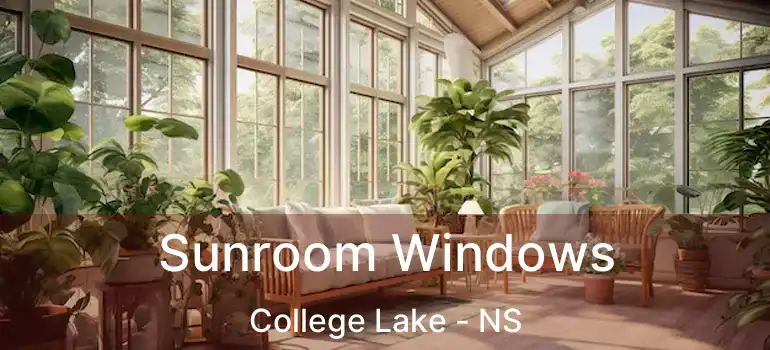  Sunroom Windows College Lake - NS