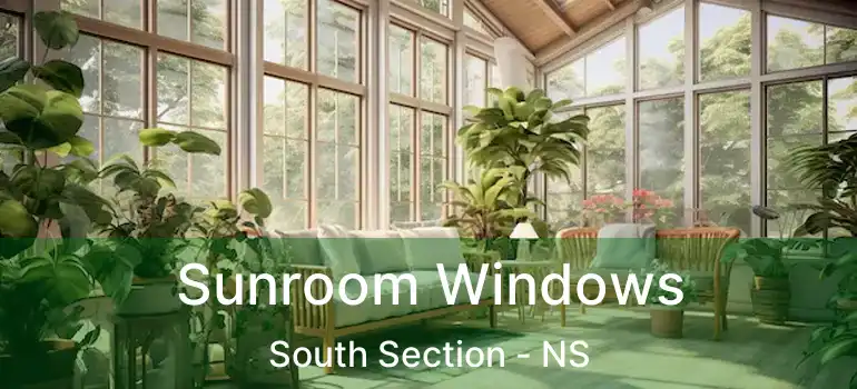  Sunroom Windows South Section - NS