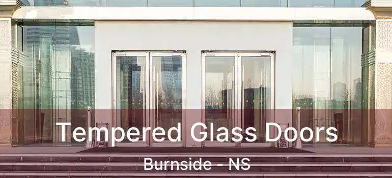  Tempered Glass Doors Burnside - NS