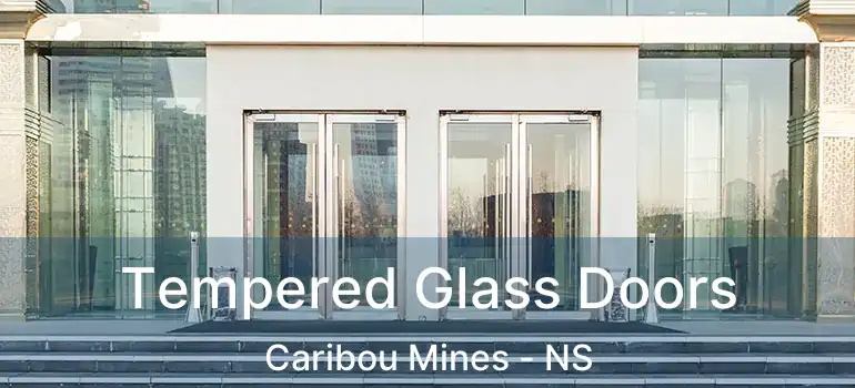  Tempered Glass Doors Caribou Mines - NS