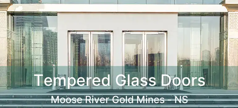  Tempered Glass Doors Moose River Gold Mines - NS