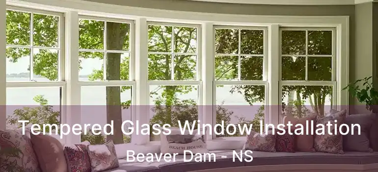  Tempered Glass Window Installation Beaver Dam - NS