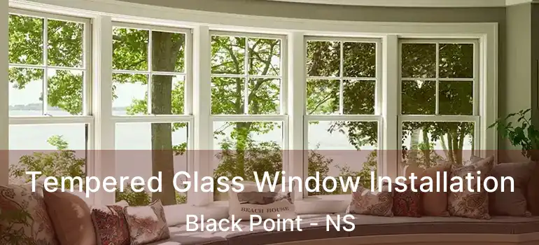  Tempered Glass Window Installation Black Point - NS