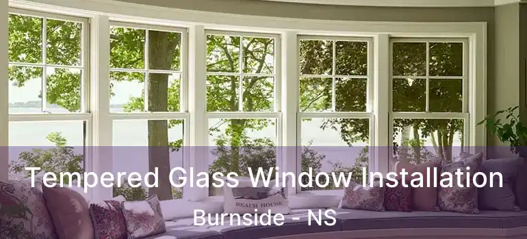  Tempered Glass Window Installation Burnside - NS