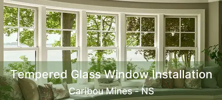  Tempered Glass Window Installation Caribou Mines - NS