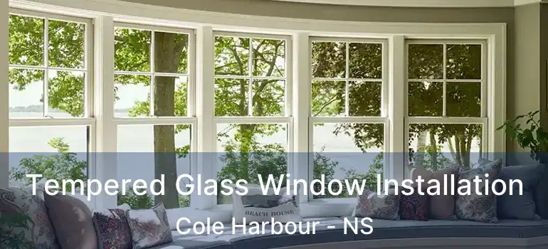  Tempered Glass Window Installation Cole Harbour - NS