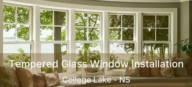  Tempered Glass Window Installation College Lake - NS