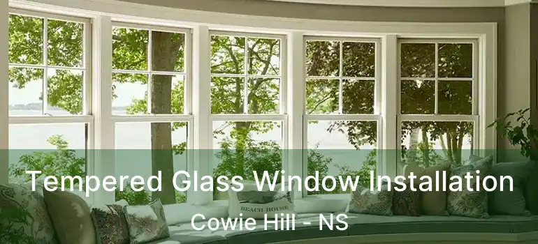  Tempered Glass Window Installation Cowie Hill - NS