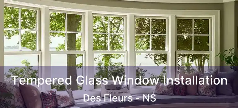  Tempered Glass Window Installation Des Fleurs - NS