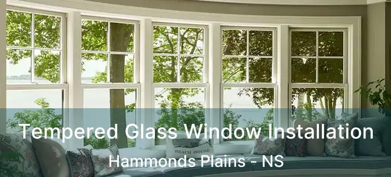  Tempered Glass Window Installation Hammonds Plains - NS