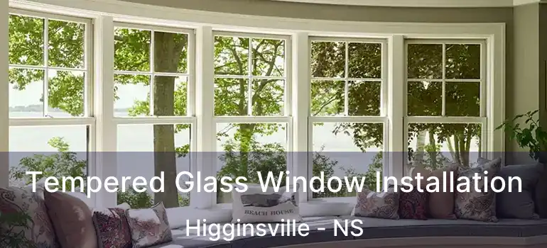  Tempered Glass Window Installation Higginsville - NS