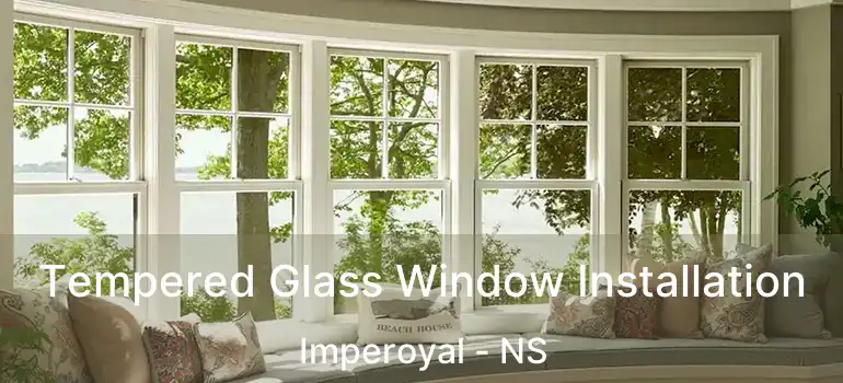  Tempered Glass Window Installation Imperoyal - NS