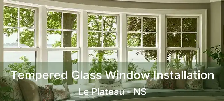  Tempered Glass Window Installation Le Plateau - NS