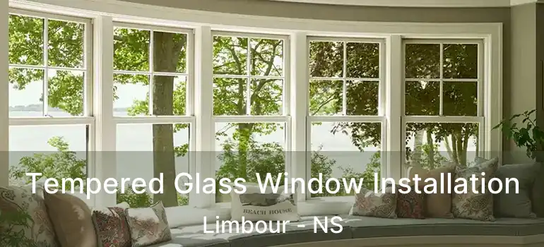  Tempered Glass Window Installation Limbour - NS