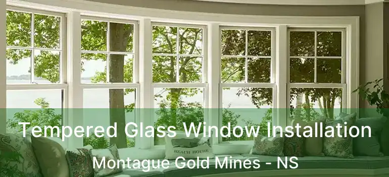  Tempered Glass Window Installation Montague Gold Mines - NS