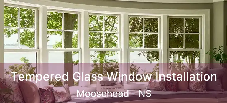  Tempered Glass Window Installation Moosehead - NS