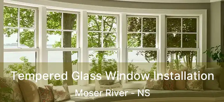  Tempered Glass Window Installation Moser River - NS