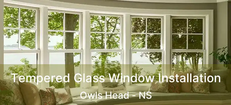  Tempered Glass Window Installation Owls Head - NS