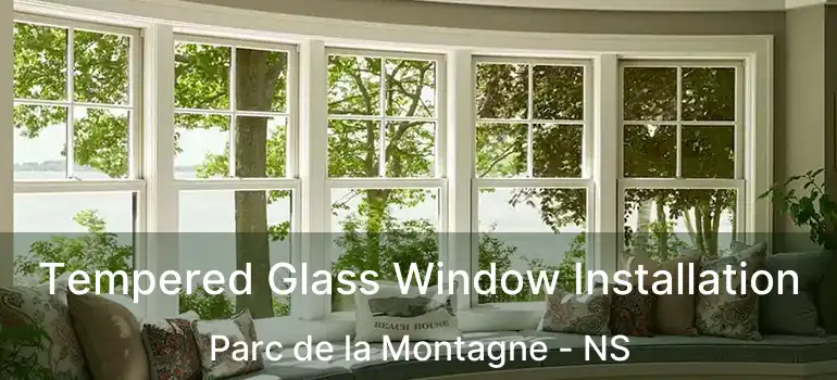  Tempered Glass Window Installation Parc de la Montagne - NS