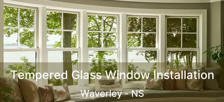  Tempered Glass Window Installation Waverley - NS