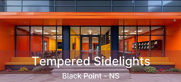  Tempered Sidelights Black Point - NS