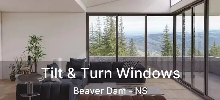  Tilt & Turn Windows Beaver Dam - NS